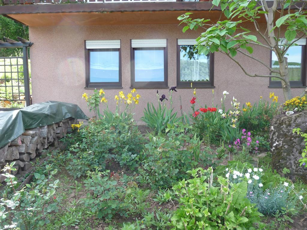 Ferienwohnung Bruni Birresborn Zewnętrze zdjęcie